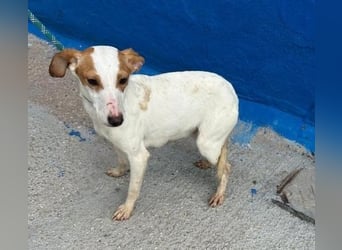 RIA Menschen findet Ria richtig gut