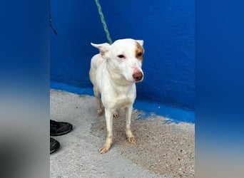 LUNI Menschen findet Luni richtig gut