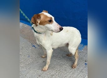 RIA Menschen findet Ria richtig gut