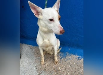 LUNI Menschen findet Luni richtig gut