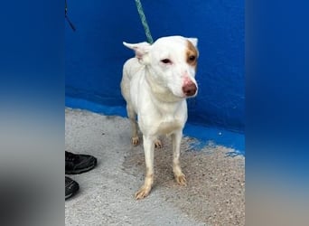 LUNI Menschen findet Luni richtig gut