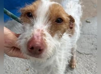 BLACK ein lieber und sanfter Rüce