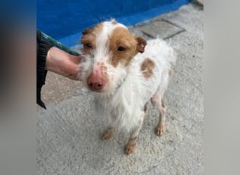 BLACK ein lieber und sanfter Rüce