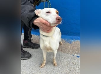 LUNI Menschen findet Luni richtig gut