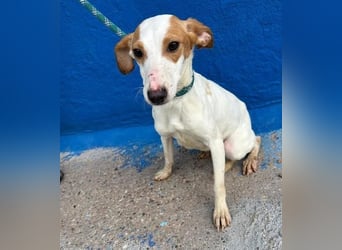 RIA Menschen findet Ria richtig gut