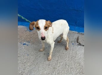 RIA Menschen findet Ria richtig gut