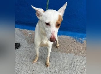 LUNI Menschen findet Luni richtig gut