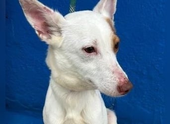 LUNI Menschen findet Luni richtig gut