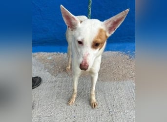 LUNI Menschen findet Luni richtig gut