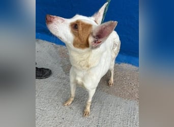 LUNI Menschen findet Luni richtig gut