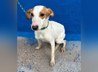 RIA Menschen findet Ria richtig gut