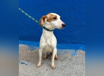 RIA Menschen findet Ria richtig gut