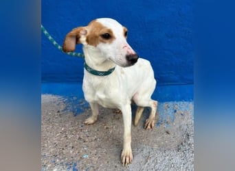 RIA Menschen findet Ria richtig gut