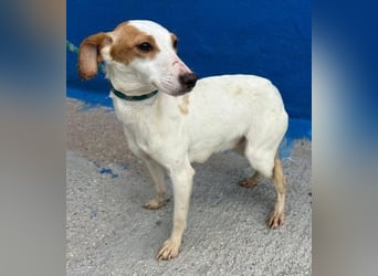 RIA Menschen findet Ria richtig gut