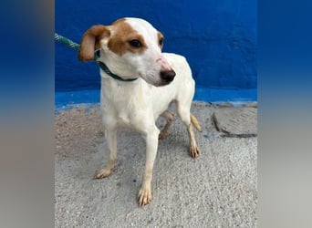 RIA Menschen findet Ria richtig gut