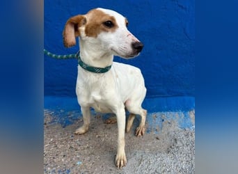 RIA Menschen findet Ria richtig gut