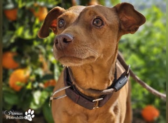 Naomi befindet sich bereits auf PS in der Schweiz