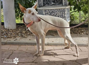 Nivea bezaubert durch ihre fröhliche und ausgeglichene Art