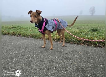 Naomi befindet sich bereits auf PS in der Schweiz