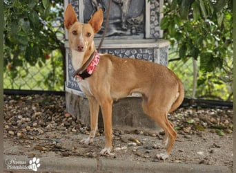 Onda ist sehr menschenbezogen