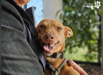 Merlin ist anfangs zurückhaltend, fast aber schnell Vertrauen