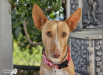 Onda ist sehr menschenbezogen