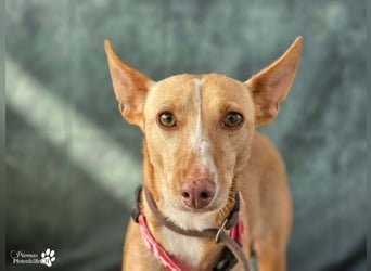 Onda ist sehr menschenbezogen