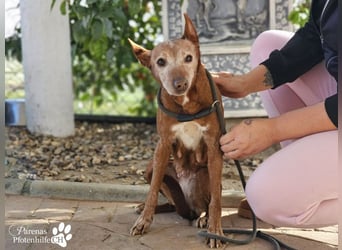 Mariela hat ein ruhiges, fröhliches Wesen