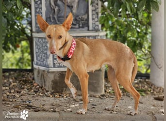 Onda ist sehr menschenbezogen