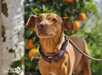 Naomi befindet sich bereits auf PS in der Schweiz