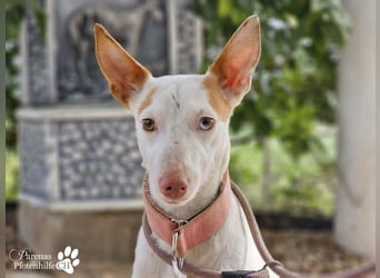 Nivea bezaubert durch ihre fröhliche und ausgeglichene Art