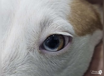 Nivea bezaubert durch ihre fröhliche und ausgeglichene Art