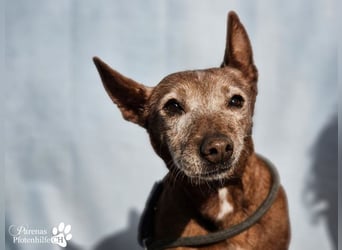 Mariela hat ein ruhiges, fröhliches Wesen