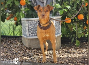 Naomi befindet sich bereits auf PS in der Schweiz