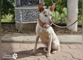 Nivea bezaubert durch ihre fröhliche und ausgeglichene Art