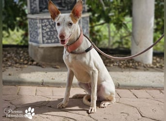 Nivea bezaubert durch ihre fröhliche und ausgeglichene Art