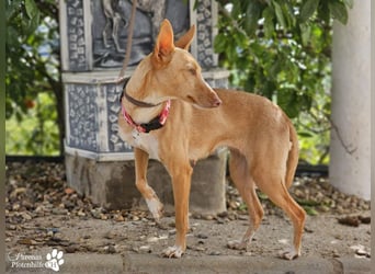 Onda ist sehr menschenbezogen