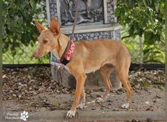 Onda ist sehr menschenbezogen