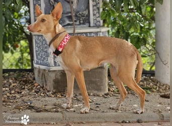 Onda ist sehr menschenbezogen