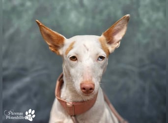 Nivea bezaubert durch ihre fröhliche und ausgeglichene Art