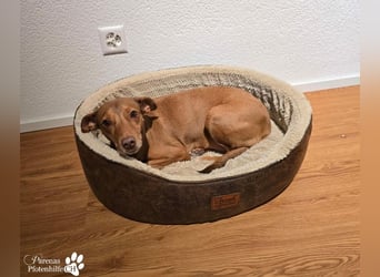 Naomi befindet sich bereits auf PS in der Schweiz