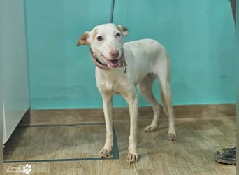 Nivea bezaubert durch ihre fröhliche und ausgeglichene Art