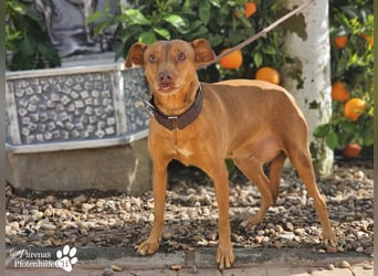 Naomi befindet sich bereits auf PS in der Schweiz