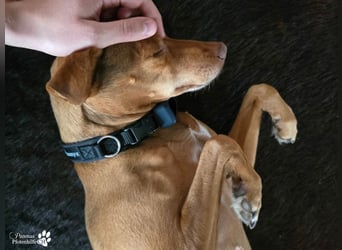 Naomi befindet sich bereits auf PS in der Schweiz