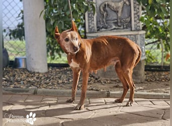 Mariela hat ein ruhiges, fröhliches Wesen