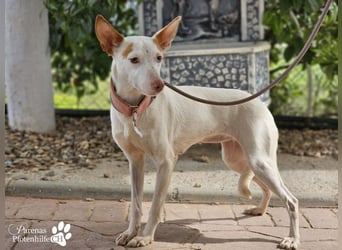 Nivea bezaubert durch ihre fröhliche und ausgeglichene Art