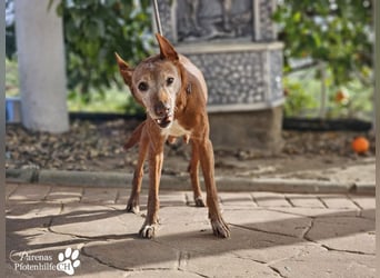 Mariela hat ein ruhiges, fröhliches Wesen