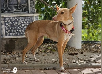 Onda ist sehr menschenbezogen