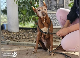 Mariela hat ein ruhiges, fröhliches Wesen