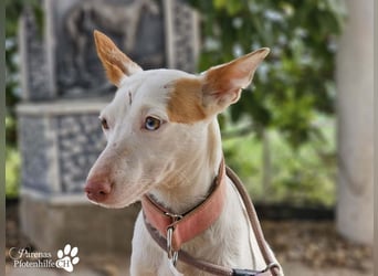 Nivea bezaubert durch ihre fröhliche und ausgeglichene Art